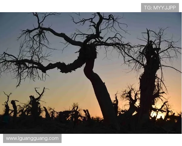 一生为奴:一曲时代的挽歌,一场灵魂的挣扎
